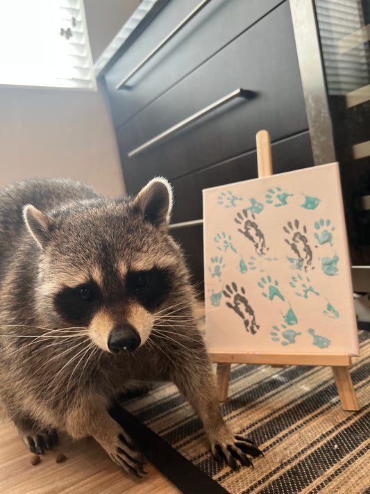 Zen Vibes Loucasso Painting 8x10
